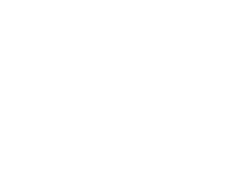 Independent market review Discuss current business strategy, future objectives, and general satisfaction with the ser...